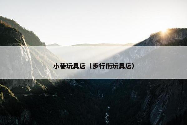小巷玩具店(步行街玩具店) 小巷玩具店(步行街玩具店)