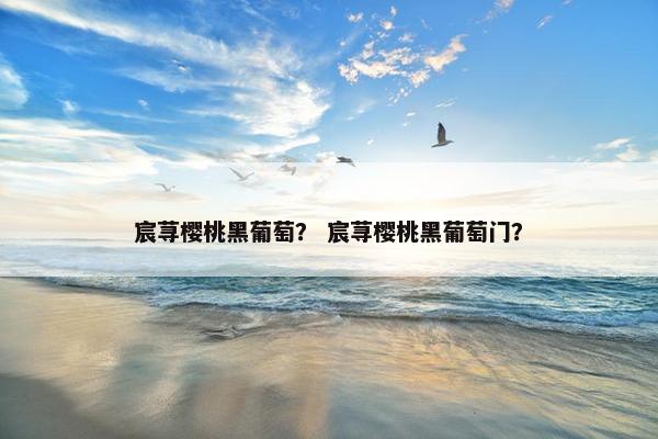 宸荨樱桃黑葡萄？ 宸荨樱桃黑葡萄门？