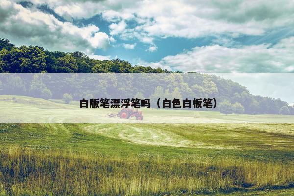 白版笔漂浮笔吗（白色白板笔）