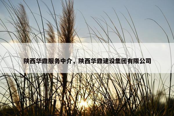 陕西华鼎服务中介,陕西华鼎建设集团有限公司 陕西华鼎服务中介,陕西华鼎建设集团有限公司