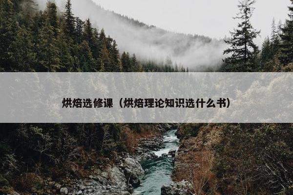 烘焙选修课（烘焙理论知识选什么书）