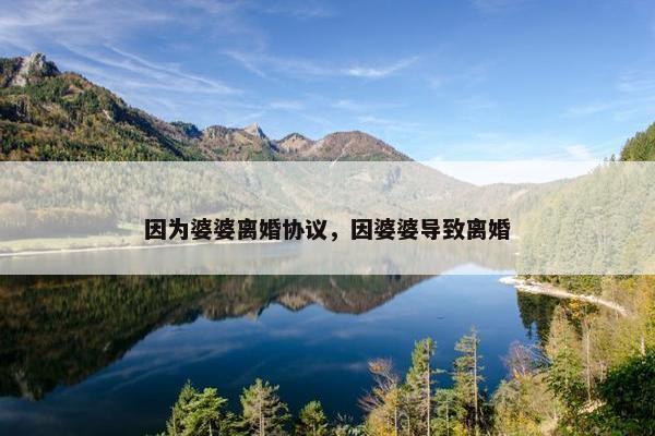 因为婆婆离婚协议，因婆婆导致离婚
