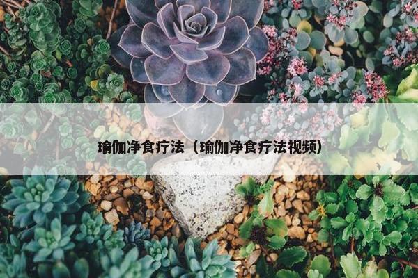 瑜伽净食疗法(瑜伽净食疗法视频) 瑜伽净食疗法(瑜伽净食疗法视频)