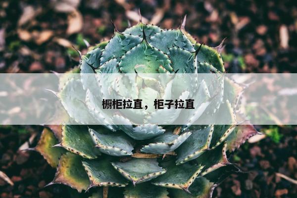 橱柜拉直,柜子拉直 橱柜拉直,柜子拉直