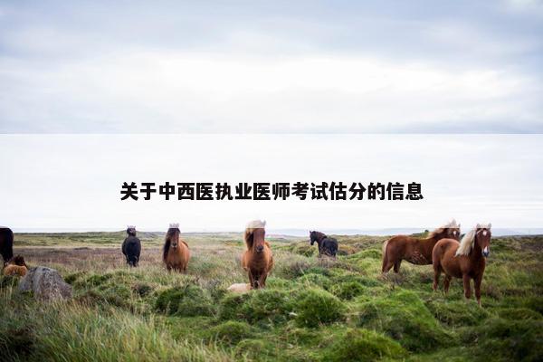 关于中西医执业医师考试估分的信息