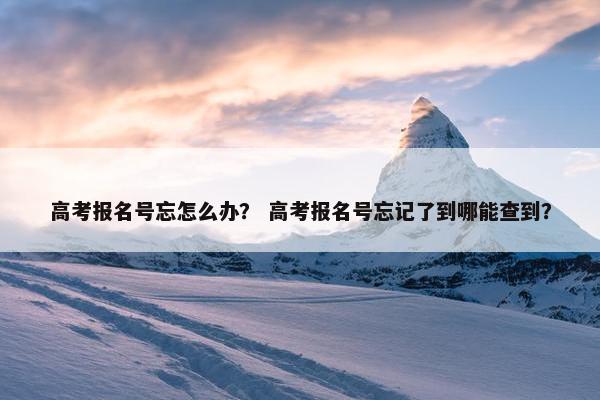 高考报名号忘怎么办? 高考报名号忘记了到哪能查到? 高考报名号忘怎么办? 高考报名号忘记了到哪能查到?