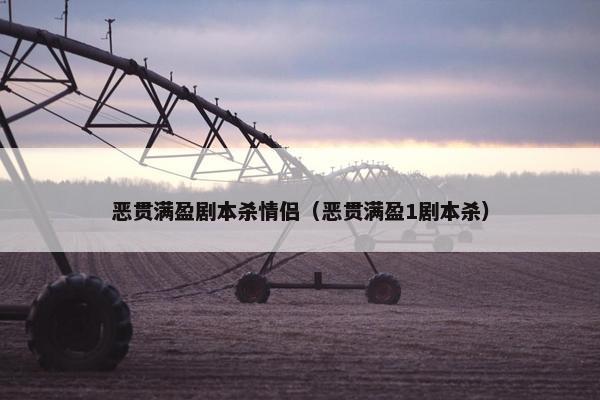恶贯满盈剧本杀情侣（恶贯满盈1剧本杀）