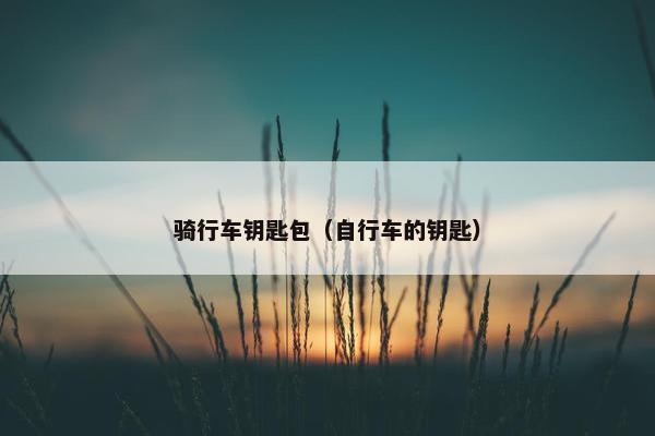 骑行车钥匙包(自行车的钥匙) 骑行车钥匙包(自行车的钥匙)