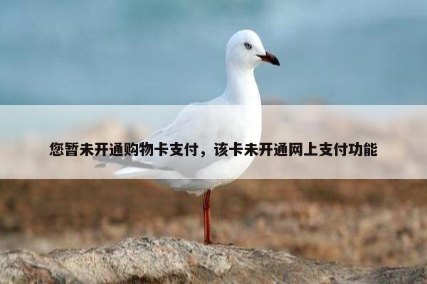您暂未开通购物卡支付，该卡未开通网上支付功能