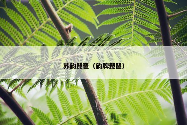 苏韵琵琶(韵牌琵琶) 苏韵琵琶(韵牌琵琶)