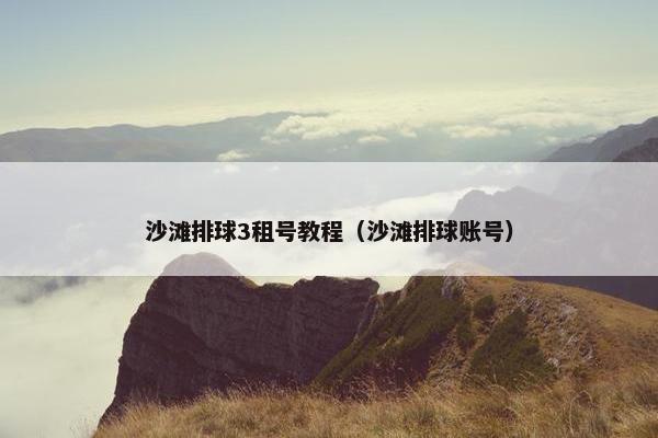 沙滩排球3租号教程（沙滩排球账号）