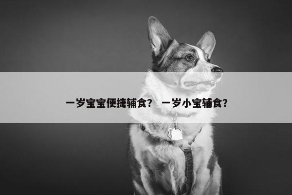 一岁宝宝便捷辅食? 一岁小宝辅食? 一岁宝宝便捷辅食? 一岁小宝辅食?