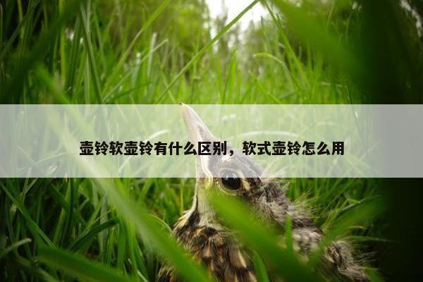 壶铃软壶铃有什么区别,软式壶铃怎么用 壶铃软壶铃有什么区别,软式壶铃怎么用