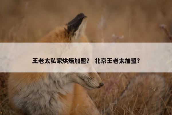 王老太私家烘焙加盟？ 北京王老太加盟？