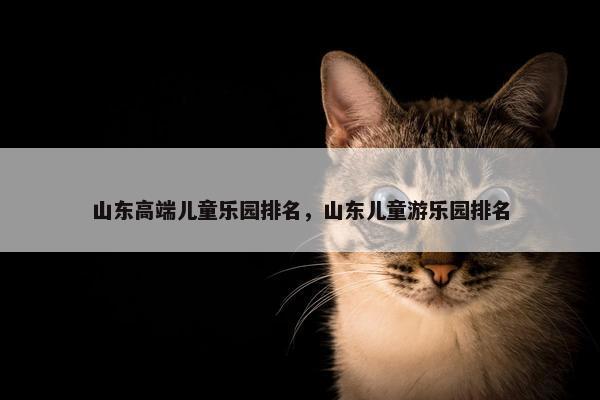 山东高端儿童乐园排名,山东儿童游乐园排名 山东高端儿童乐园排名,山东儿童游乐园排名