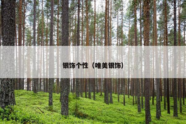 银饰个性（唯美银饰）