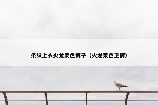 条纹上衣火龙果色裤子（火龙果色卫裤）