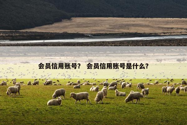 会员信用账号？ 会员信用账号是什么？