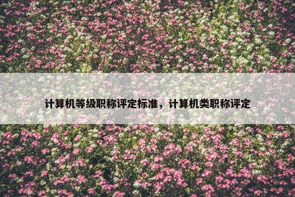 计算机等级职称评定标准，计算机类职称评定