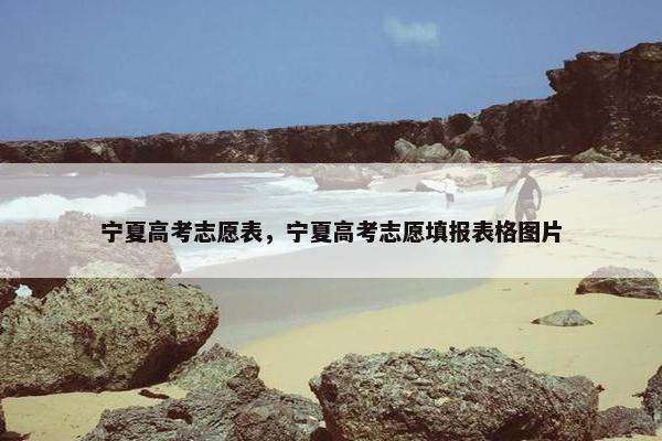 宁夏高考志愿表，宁夏高考志愿填报表格图片