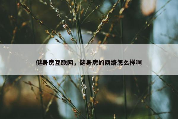 健身房互联网，健身房的网络怎么样啊