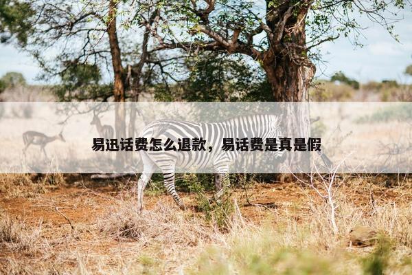 易迅话费怎么退款，易话费是真是假