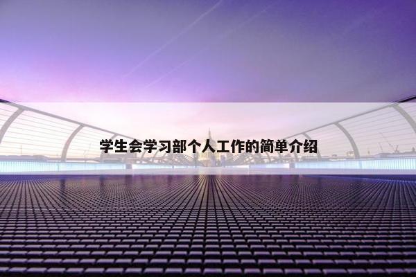 学生会学习部个人工作的简单介绍