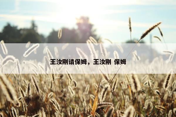 王汝刚请保姆，王汝刚 保姆