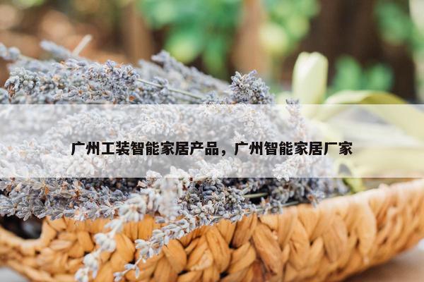 广州工装智能家居产品，广州智能家居厂家