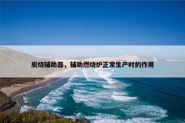 炭烧辅助器，辅助燃烧炉正常生产时的作用