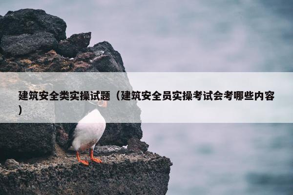 建筑安全类实操试题（建筑安全员实操考试会考哪些内容）