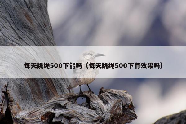 每天跳绳500下能吗(每天跳绳500下有效果吗) 每天跳绳500下能吗(每天跳绳500下有效果吗)