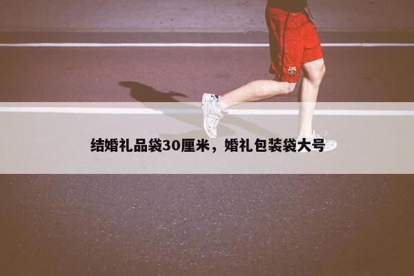 结婚礼品袋30厘米,婚礼包装袋大号 结婚礼品袋30厘米,婚礼包装袋大号