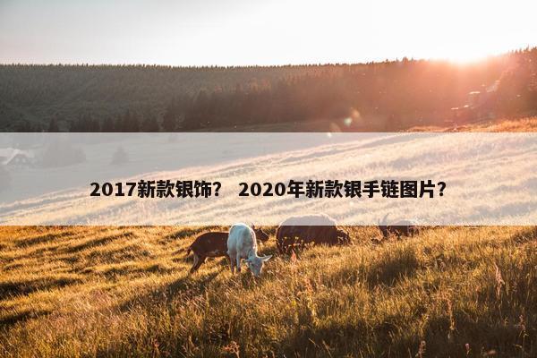2017新款银饰? 2020年新款银手链图片? 2017新款银饰? 2020年新款银手链图片?