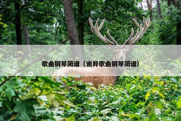 歌曲钢琴简谱(诡异歌曲钢琴简谱) 歌曲钢琴简谱(诡异歌曲钢琴简谱)