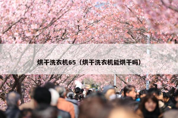 烘干洗衣机65（烘干洗衣机能烘干吗）
