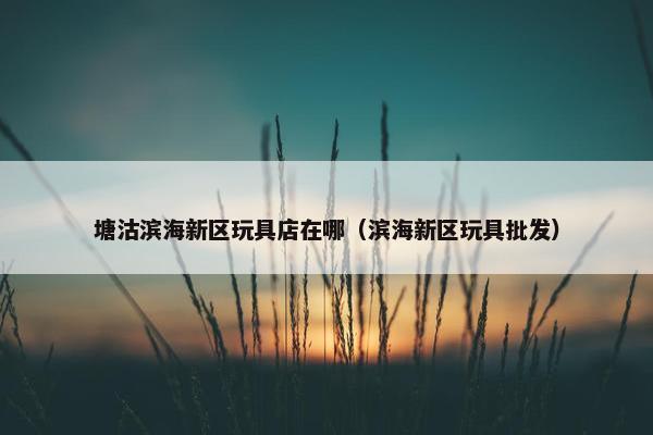 塘沽滨海新区玩具店在哪（滨海新区玩具批发）