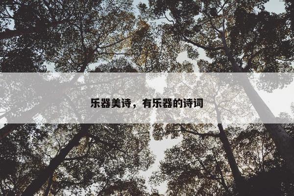 乐器美诗,有乐器的诗词 乐器美诗,有乐器的诗词