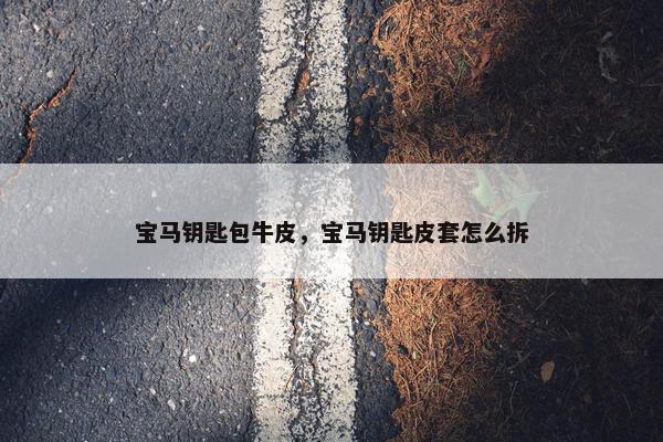 宝马钥匙包牛皮,宝马钥匙皮套怎么拆 宝马钥匙包牛皮,宝马钥匙皮套怎么拆