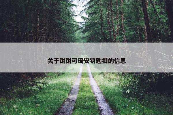 关于饼饼可琦安钥匙扣的信息 关于饼饼可琦安钥匙扣的信息