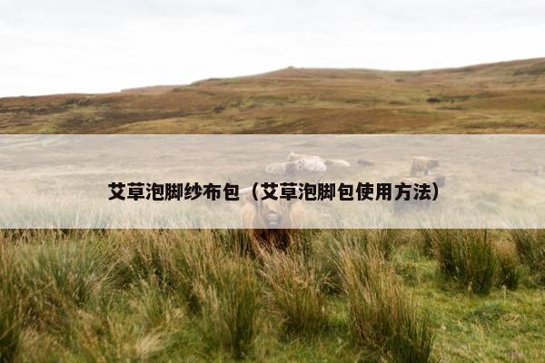艾草泡脚纱布包(艾草泡脚包使用方法) 艾草泡脚纱布包(艾草泡脚包使用方法)