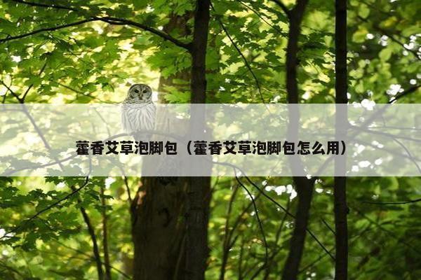 藿香艾草泡脚包（藿香艾草泡脚包怎么用）