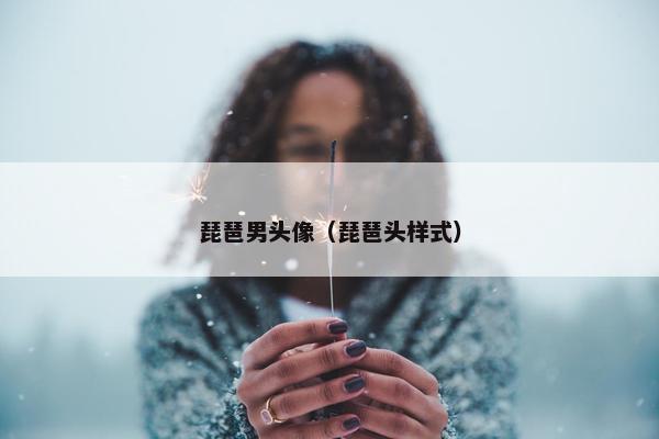 琵琶男头像（琵琶头样式）