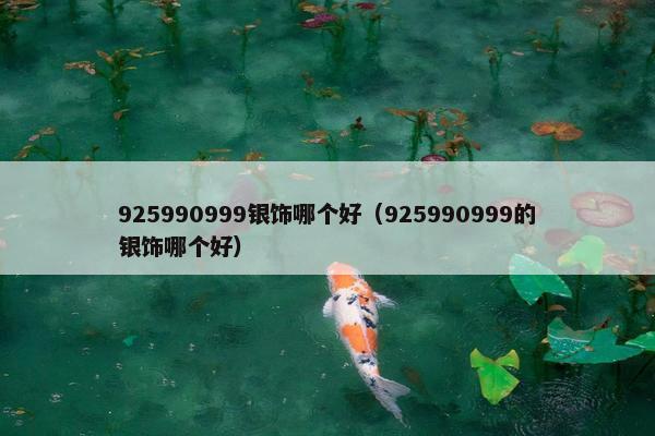 925990999银饰哪个好(925990999的银饰哪个好) 925990999银饰哪个好(925990999的银饰哪个好)