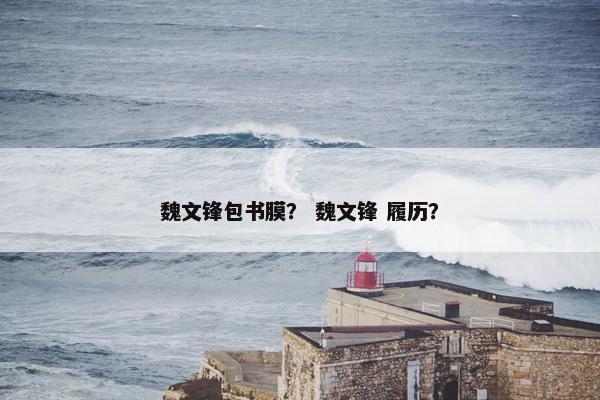 魏文锋包书膜？ 魏文锋 履历？