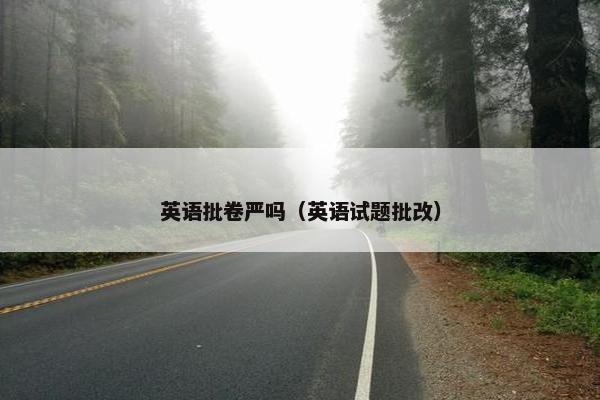 英语批卷严吗(英语试题批改) 英语批卷严吗(英语试题批改)