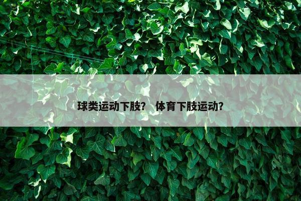 球类运动下肢？ 体育下肢运动？
