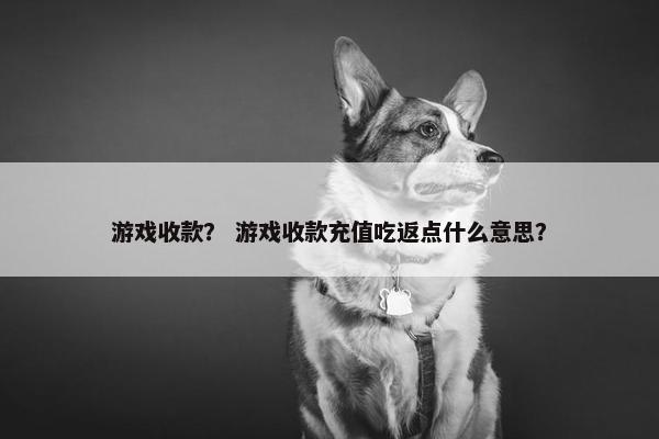 游戏收款? 游戏收款充值吃返点什么意思? 游戏收款? 游戏收款充值吃返点什么意思?