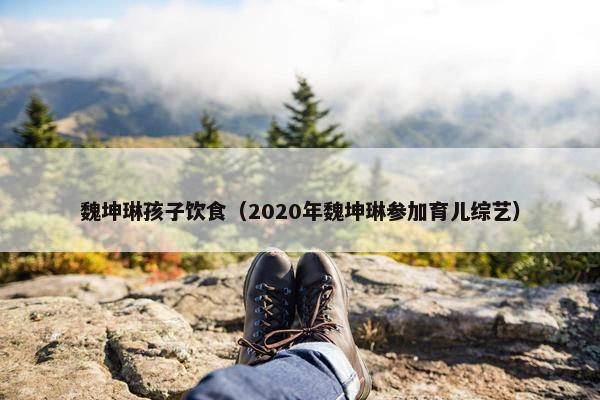 魏坤琳孩子饮食(2020年魏坤琳参加育儿综艺) 魏坤琳孩子饮食(2020年魏坤琳参加育儿综艺)