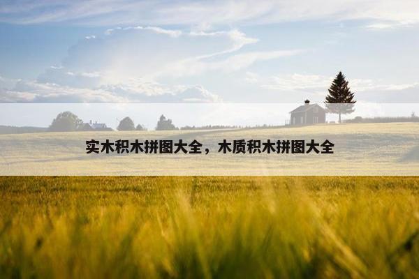实木积木拼图大全,木质积木拼图大全 实木积木拼图大全,木质积木拼图大全